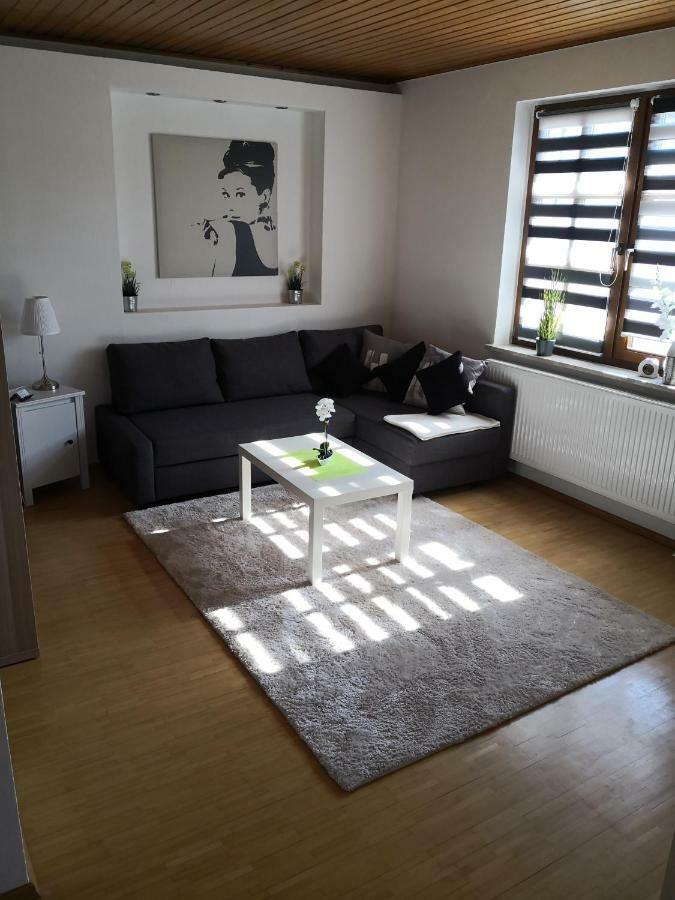 Apartment Ferienwohnung Emmerthal Auch Fuer Monteure Fewo Eksteriør billede